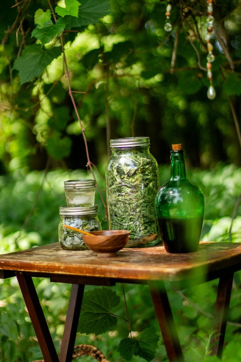 Jars of dried herbs with a green bottle on a rustic table in a forest. Perfect for natural remedies and wellness themes.